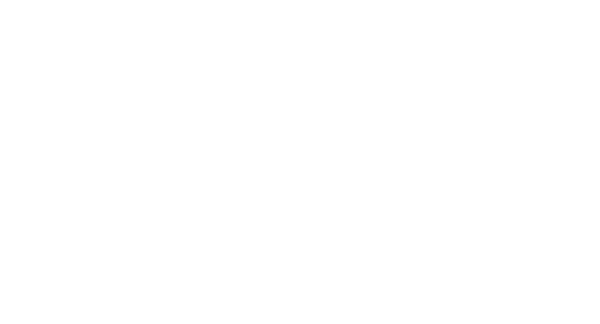 kiss new york professional